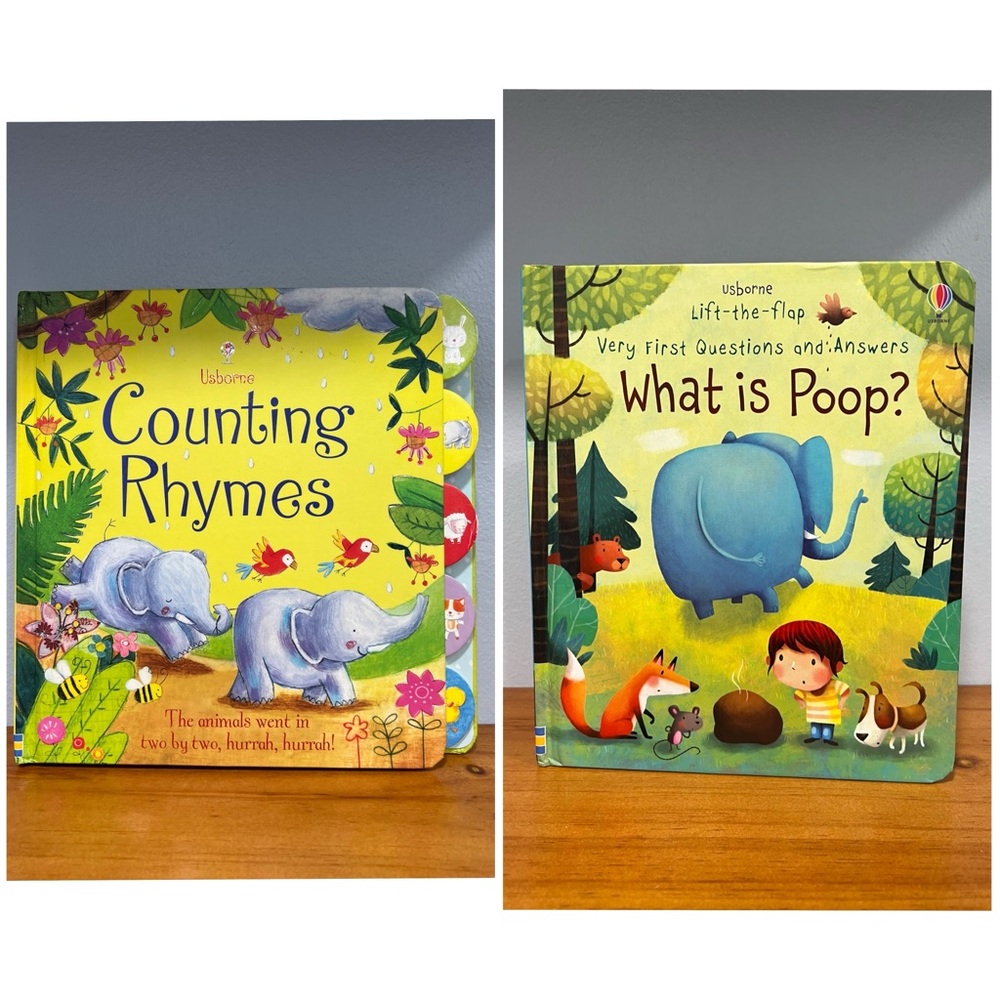 LOT Of 2 USBORNE BOOKS Toddler Homeschool Pre Loved SEE DESCRIPTION CALLOUTS